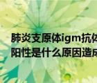 肺炎支原体igm抗体是阳性怎么回事（肺炎支原体抗体igm阳性是什么原因造成的）