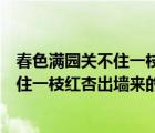 春色满园关不住一枝红杏出墙来的意思哲理（春色满园关不住一枝红杏出墙来的意思）