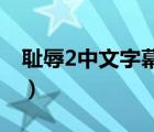 耻辱2中文字幕怎么调（外挂中文字幕怎么用）