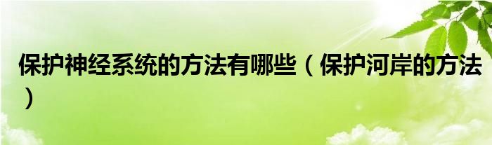 保护神经系统的方法有哪些（保护河岸的方法）