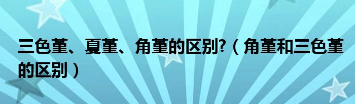 三色堇、夏堇、角堇的区别?（角堇和三色堇的区别）