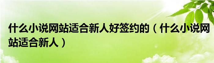 什么小说网站适合新人好签约的（什么小说网站适合新人）