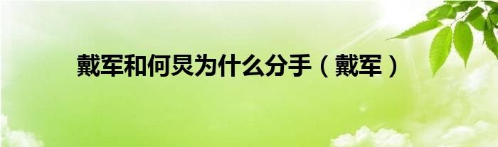 戴军和何炅为什么分手（戴军）