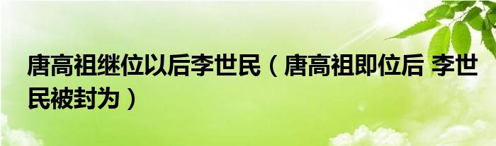 唐高祖继位以后李世民（唐高祖即位后 李世民被封为）