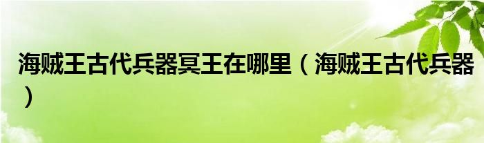 海贼王古代兵器冥王在哪里（海贼王古代兵器）