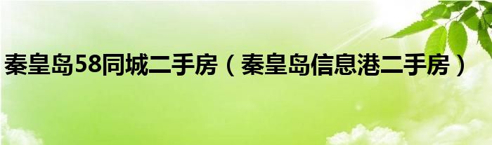 秦皇岛58同城二手房（秦皇岛信息港二手房）