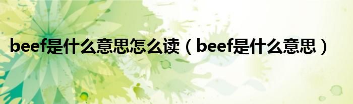 beef是什么意思怎么读（beef是什么意思）