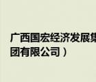 广西国宏经济发展集团有限公司招聘（广西国宏经济发展集团有限公司）