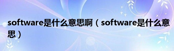 software是什么意思啊（software是什么意思）