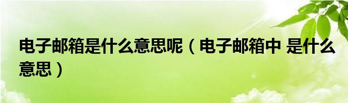 电子邮箱是什么意思呢（电子邮箱中 是什么意思）