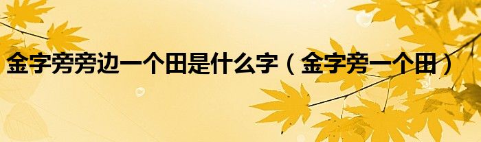 金字旁旁边一个田是什么字（金字旁一个田）