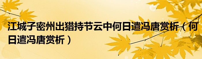 江城子密州出猎持节云中何日遣冯唐赏析（何日遣冯唐赏析）