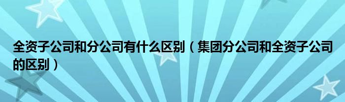 全资子公司和分公司有什么区别（集团分公司和全资子公司的区别）