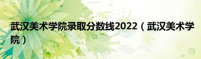 武汉美术学院录取分数线2022（武汉美术学院）