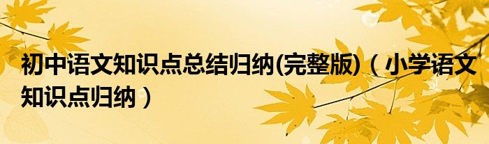 初中语文知识点总结归纳(完整版)（小学语文知识点归纳）