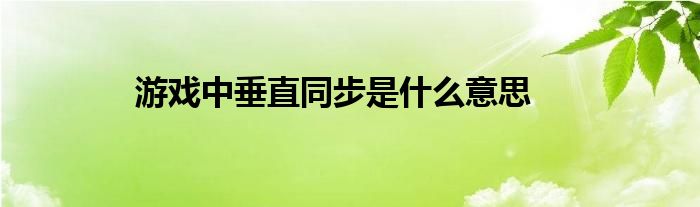 游戏中垂直同步是什么意思