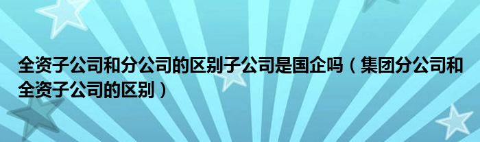 全资子公司和分公司的区别子公司是国企吗（集团分公司和全资子公司的区别）