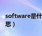 software是什么意思啊（software是什么意思）