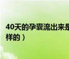 40天的孕囊流出来是什么样的（40天流产排出的孕囊是什么样的）