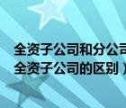 全资子公司和分公司的区别子公司是国企吗（集团分公司和全资子公司的区别）