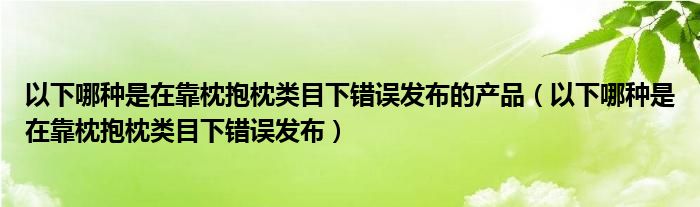 以下哪种是在靠枕抱枕类目下错误发布的产品（以下哪种是在靠枕抱枕类目下错误发布）