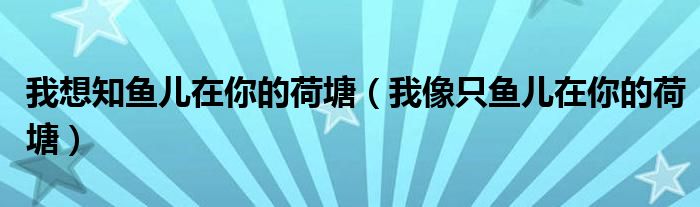 我想知鱼儿在你的荷塘（我像只鱼儿在你的荷塘）