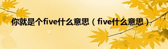 你就是个five什么意思（five什么意思）