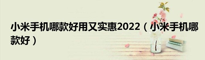 小米手机哪款好用又实惠2022（小米手机哪款好）