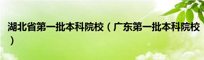 湖北省第一批本科院校（广东第一批本科院校）