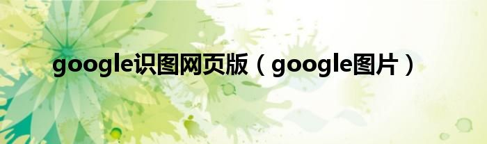 google识图网页版（google图片）