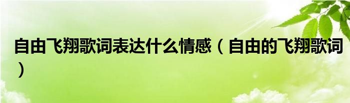 自由飞翔歌词表达什么情感（自由的飞翔歌词）