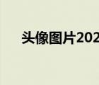 头像图片2022最火爆（樱木花道头像）