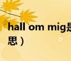 hall om mig是什么语（hall om mig什么意思）