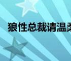 狼性总裁请温柔完整版（狼性总裁请温柔）