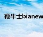 鞭牛士bianews是什么类型公司（鞭牛士）