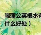 喝蒲公英根水有什么副作用（喝蒲公英根水有什么好处）