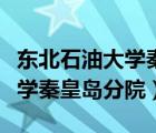 东北石油大学秦皇岛分院分数线（东北石油大学秦皇岛分院）