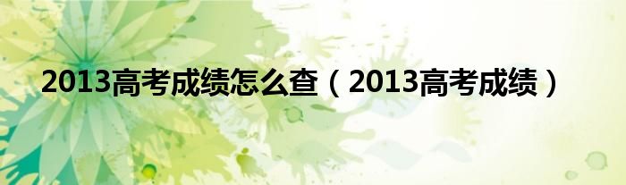 2013高考成绩怎么查（2013高考成绩）