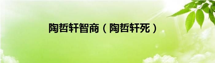 陶哲轩智商（陶哲轩死）