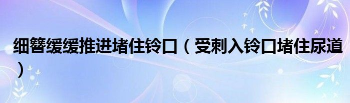 细簪缓缓推进堵住铃口（受刺入铃口堵住尿道）