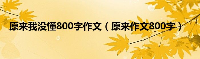 原来我没懂800字作文（原来作文800字）