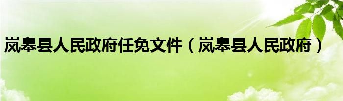 岚皋县人民政府任免文件（岚皋县人民政府）