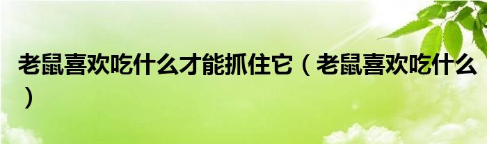 老鼠喜欢吃什么才能抓住它（老鼠喜欢吃什么）