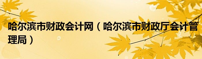 哈尔滨市财政会计网（哈尔滨市财政厅会计管理局）