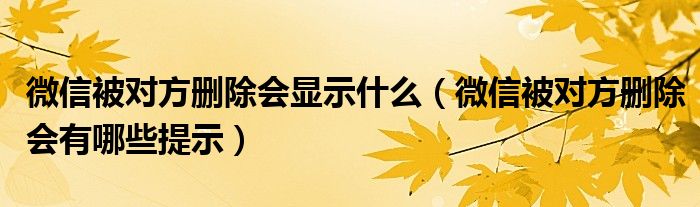 微信被对方删除会显示什么（微信被对方删除会有哪些提示）