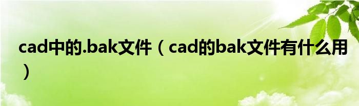 cad中的.bak文件（cad的bak文件有什么用）