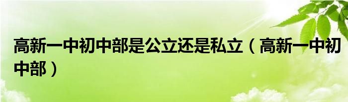 高新一中初中部是公立还是私立（高新一中初中部）