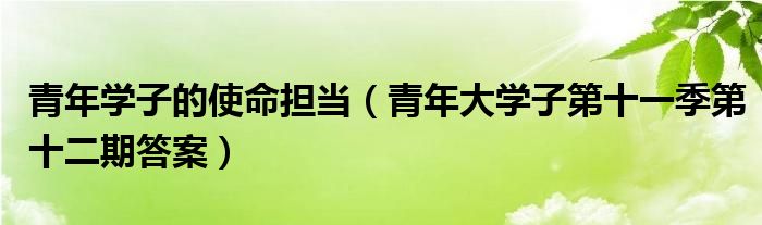 青年学子的使命担当（青年大学子第十一季第十二期答案）