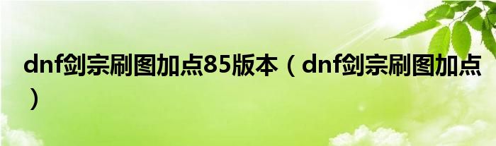 dnf剑宗刷图加点85版本（dnf剑宗刷图加点）