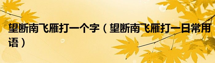 望断南飞雁打一个字（望断南飞雁打一日常用语）